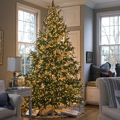 Decorating Your Home For the Holidays