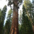 There's a man in that photo. Can you find him? There's a man in that photo. Can you find him?