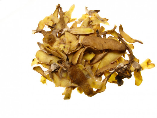 Food scraps that can be recycled