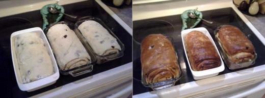 Step Fourteen: Cover the loaves with the damp towel you used before and let them rise again for at least an hour Step Fifteen: Bake your bread loaves for 45 minutes and then brush them with butter when they've cooled