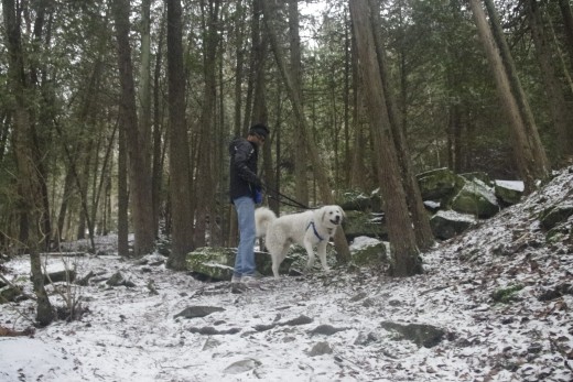 Ammar, my nephew and K2 walk carefully on treacherous ice covered rocky slopes of the park.