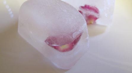 Ice cubes with rose hip petals