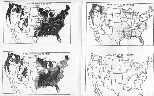 Source: http://conservationreport.files.wordpress.com/2009/02/deforestation.jpg