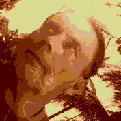 wilaps profile image