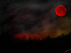 The Night the Moon was Dark