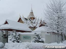 Snow in Thailand is more than just extreme weather but is definitely Climate Change, the question is why? 