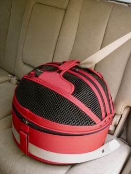 The Sleepypod secures easily with the safety belt of any vehicle.