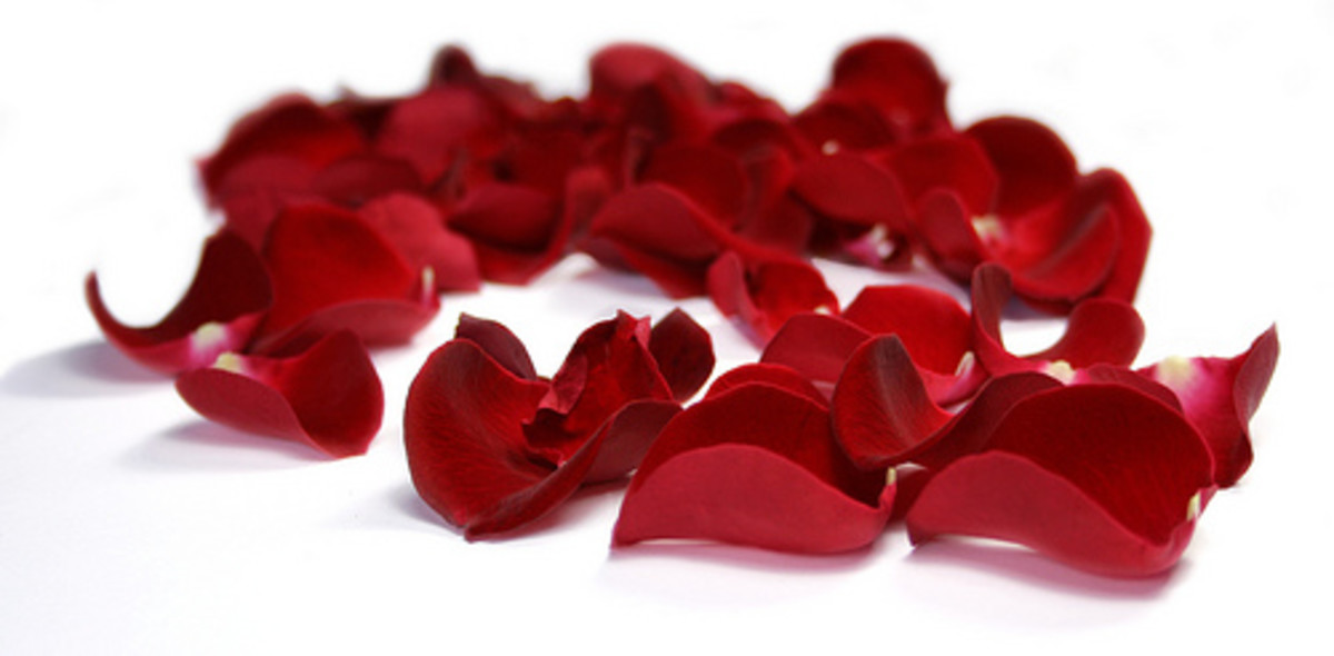 Rose petals in red or pink make an excellent addition to any Valentine's Day table.