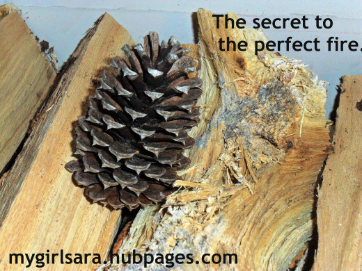 Pine cones and seasoned wood are the secret to a perfect fire.