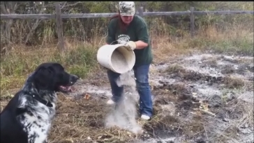 Adding light wood ash to the grass and other organic matter in the garden soil to lower the PH level because the soil is too acidic.