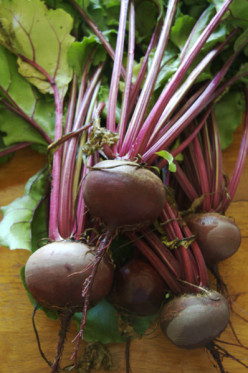 Can't Beat Beets for Heart Health
