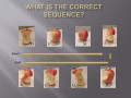 Sequence: Guiding A Child's Rational Thinking process