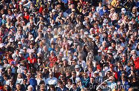 This is what it's like in my head: a thousand people all talking to me at the same time, and I am trying to listen to one cricket chirping!