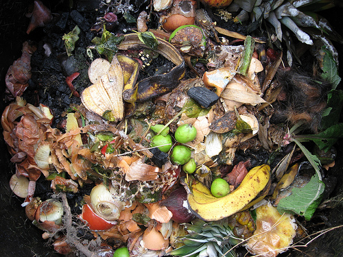 Raw food waste composting Raw food waste composting