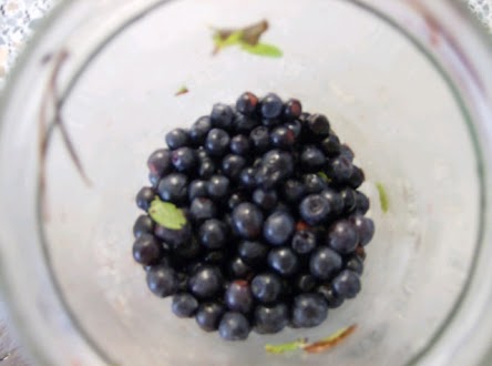 Wild blueberries