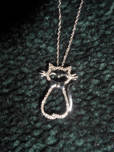 My guy knows how I love cats, so a cat on a nice necklace is perfect for me. I think this was a birthday present.