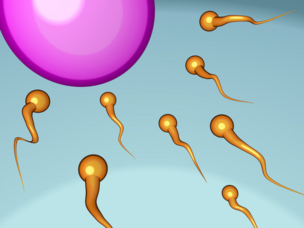 Common Infertility Myths to Watch Out For