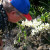 Smelling the orchids Smelling the orchids