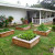 Herb Garden behind Plantation Gardens Restaurant Herb Garden behind Plantation Gardens Restaurant
