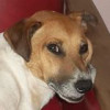 Delane Adendorff profile image
