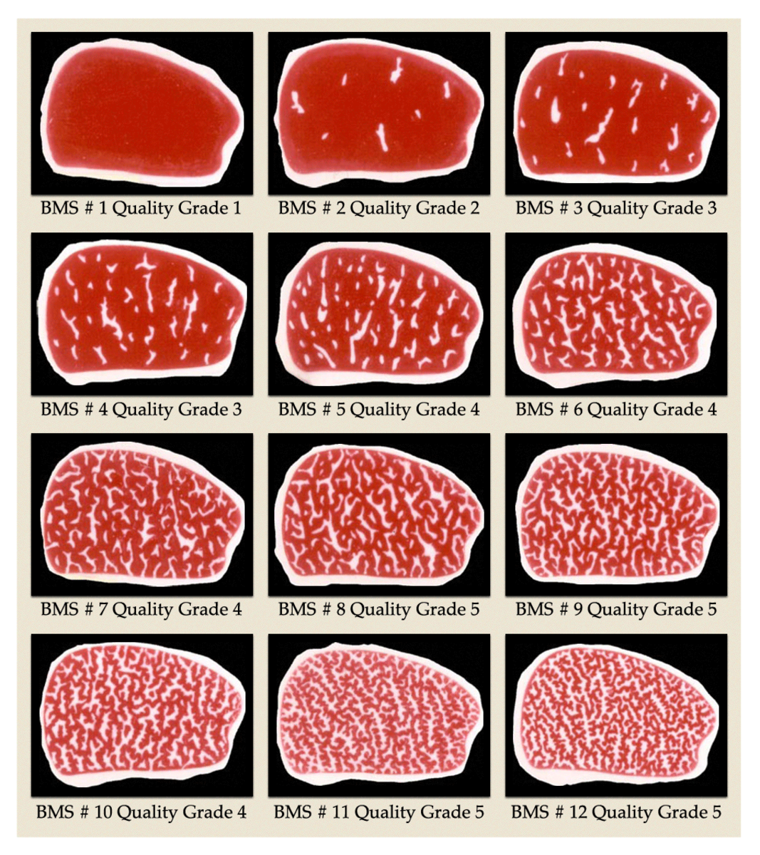 Marbling chart. Click to expand