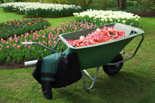 Gardening Services