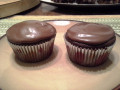 Extreme Chocolate Chip Chocolate Pudding Cake