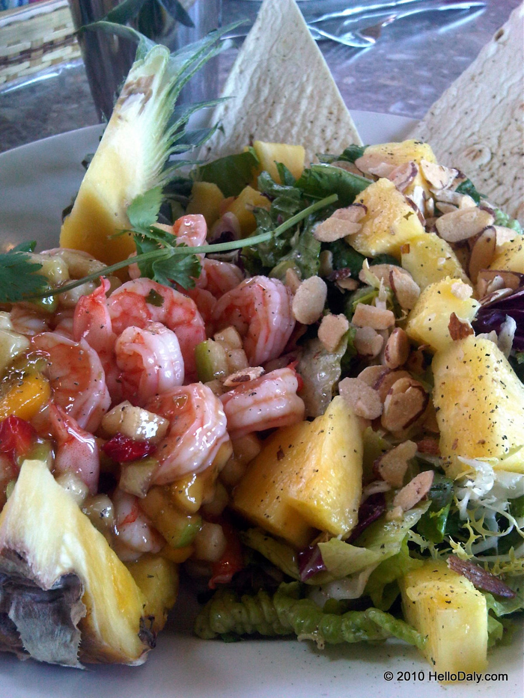 Bahama Breeze Cubra Libre Shrimp Salad Recipe