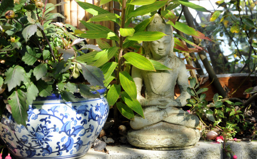 Meditating in a peaceful garden is a great way to lower your anxiety levels.