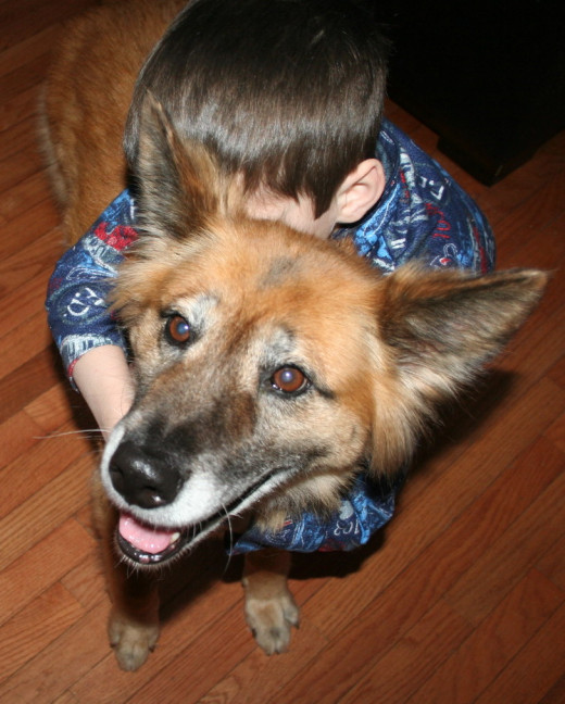 Our dog Brownie is a rescued dog that has proven to be an effective therapy dog with training.