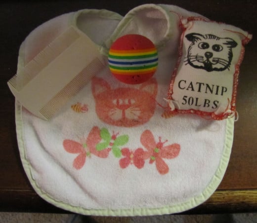 Typical child toys and grooming items from a past "Cat Lady"