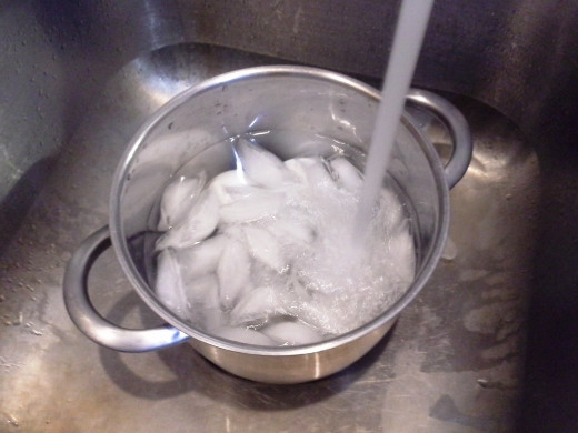 Step Five: Now fill your pot with cold water