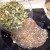 Step Thirty-two: Now ad your cooked veggies to your rice and chicken in the Wok