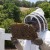 A honeybee colony being examined by professional beekeeper.