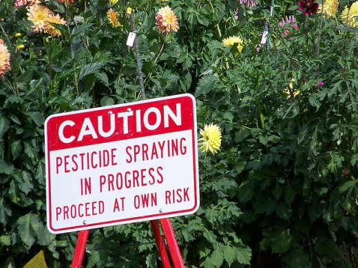 Pesticide spraying in progress