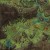 Waypoint location. Waypoint location.