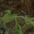 Map path Map path