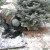 What about cutting down your own Christmas tree? What about cutting down your own Christmas tree?