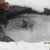 Birds finding water in a mid-winder thaw. Birds finding water in a mid-winder thaw.