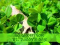Go Green for St. Patrick's Day