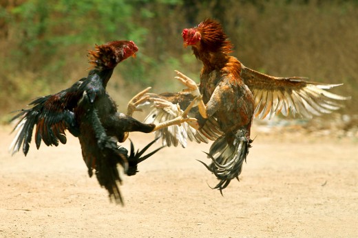 Film-goers in Tamil Nadu and Andhra Pradesh like their movies nice, spicy and action-packed.  