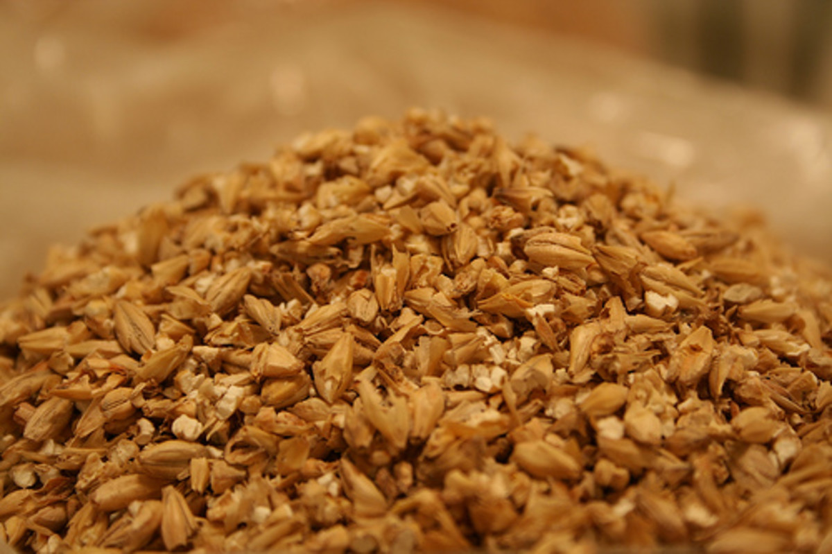 Beer is made with four main ingredients: Water, Yeast, Barley and Hops. This photo illustrates the dry ingredients of beer.