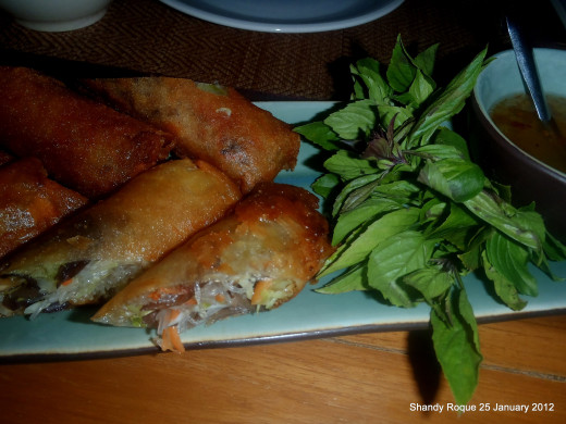 Chiang Dao Nest spring rolls