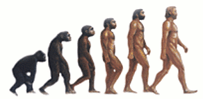 Where did our ancestors go from animals to people?