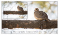 Improving Photography Composition Skills: Cropping