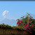Volcan Fuego erupts in the distance Volcan Fuego erupts in the distance