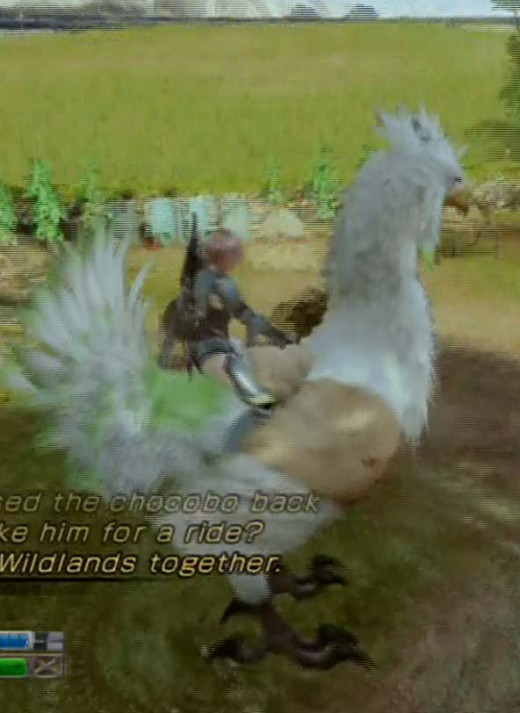 The first part of the Wildlands main quest walkthrough involves trying to find the Angel of Valhalla and then trying to heal an angel (the white chocobo)