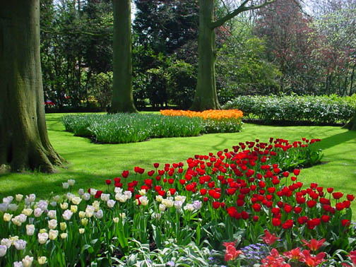 Keukenhof, the Netherlands