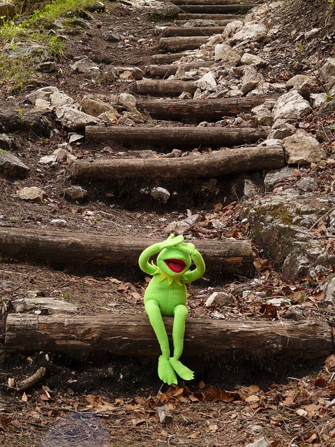 Kermit Thee Frog here. Voiced by Jim Henson during his lifetime.