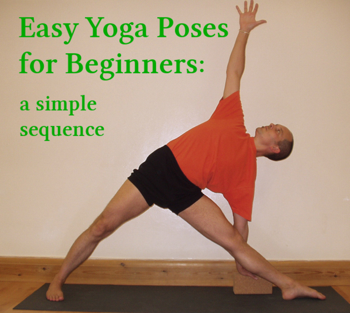 Easy Yoga Poses for Beginners and Home Practice | CalorieBee